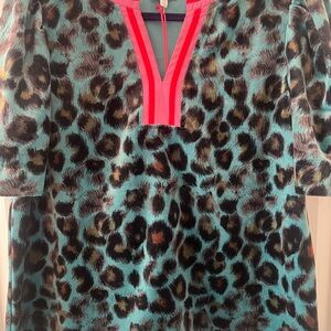 Voy Velvet Leopard Print with contrast stripe V-Neck Blouse